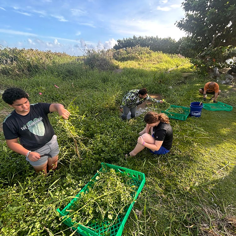 living-pono-plantation-aina-education-two