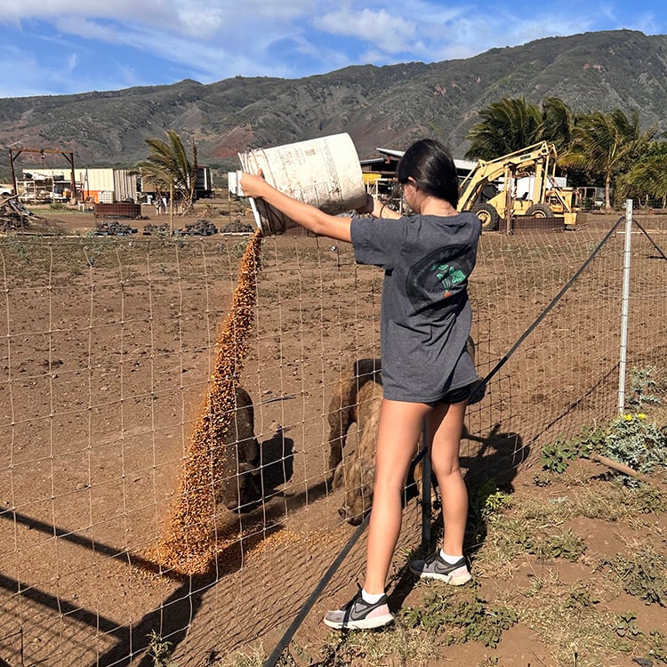 living-pono-plantation-beginner-farmer