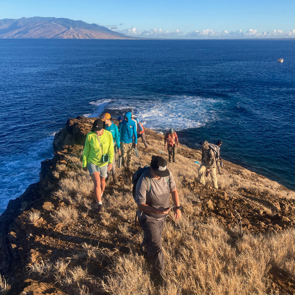 conservation-on-maui-nui-seabird