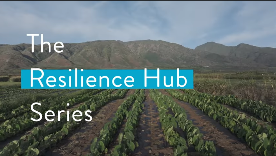 resillence-hub-screencap-video1